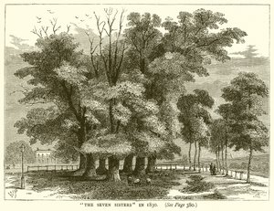 Le sette sorelle nel 1830