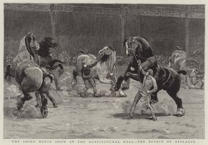 La mostra del cavallo Shire alla Agricultural Hall, l