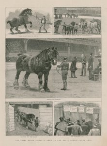 La mostra della Società del Cavallo Shire alla Sala Reale dell