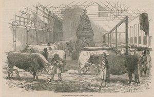 Il cortile della mostra di bestiame del Smithfield Club da English School