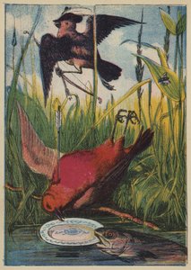 Il Passero, il Pettirosso e il Pesce da English School