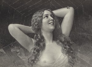 Il ragno