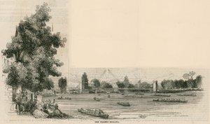La Regata del Tamigi