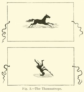 Il taumatropio
