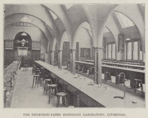 Il laboratorio di istologia Thompson-Yates, Liverpool (incisione)