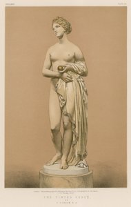 La Venere Tinta di J Gibson, R A da English School