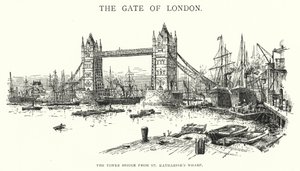 Il Tower Bridge dal molo di St Katharine da English School