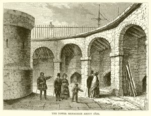 La menagerie della Torre intorno al 1820