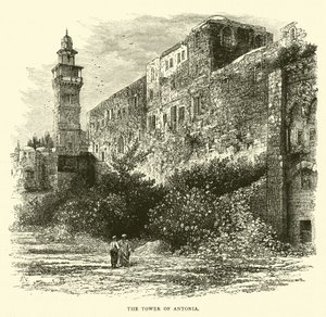 La Torre di Antonia da English School