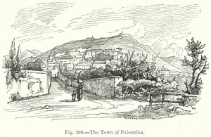 La città di Palestrina (incisione) da English School