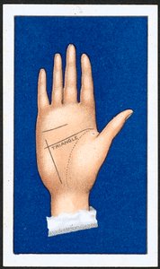 Il Triangolo (1)
