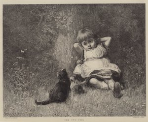 I due animali domestici (incisione)