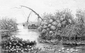 Le navi nella barriera d