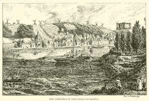 I vigneti del Coteau de Saumur da English School