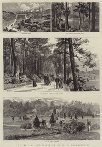 La visita del Principe di Galles a Bournemouth (incisione) da English School