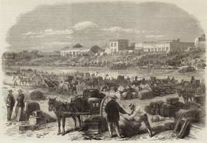 La guerra in America