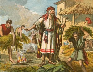 Il grano e la zizzania da English School