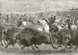 Il Selvaggio West alla Grande Esposizione Americana - caccia al bisonte e al cervo wapiti