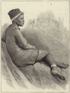 La Guerra Zulu da English School