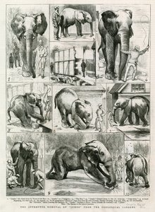 Il tentativo di rimozione di Jumbo dai Giardini Zoologici da English School