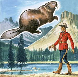 Il castoro, emblema del Canada da English School