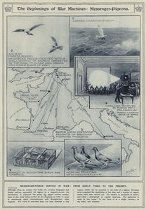 Gli inizi delle macchine da guerra, piccioni viaggiatori, servizio di piccioni viaggiatori in guerra, dai tempi antichi al presente