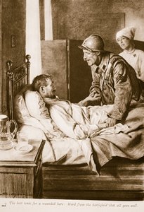 Il miglior tonico per un soldato ferito: Notizie dal campo di battaglia che tutto va bene, 1914-19