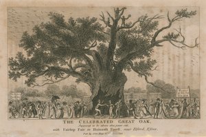 La celebre Grande Quercia, si suppone abbia più di 1800 anni