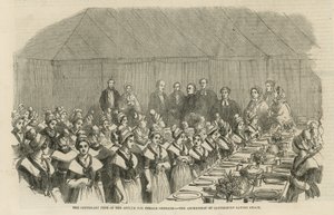 La festa del centenario del manicomio per orfane