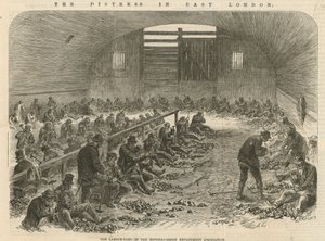 La miseria nell