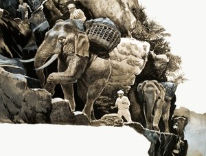 Il viaggio dell