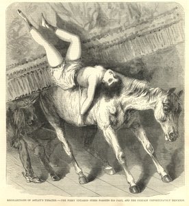 Il cavallo selvaggio dimentica la sua parte e il sipario purtroppo cala