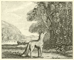La volpe e l