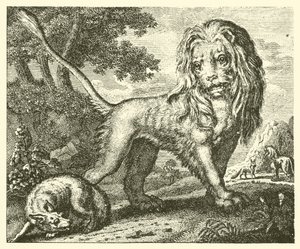 La volpe e il leone da English School