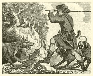La volpe e il lupo (incisione)