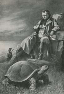 La tartaruga gigante che vide Napoleone da English School