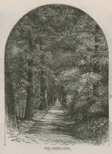 Il viale verde, Holland House da English School