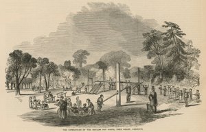 La palestra del manicomio per idioti