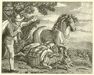 Il cavallo e l