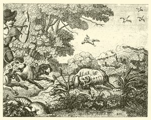 Il castoro cacciato (incisione)
