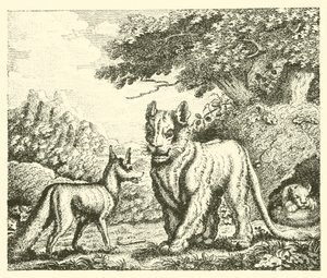 La leonessa e la volpe (incisione)