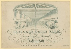 La stalla per la mungitura, Laycocks Dairy Farm, Liverpool Road, Islington da English School