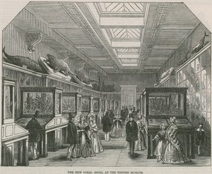 La nuova Sala dei Coralli al British Museum