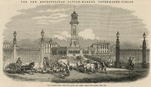 Il nuovo Mercato del Bestiame Metropolitano, Copenhagen Fields da English School