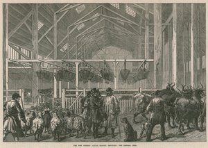 Il nuovo mercato del bestiame estero, Deptford, Londra - il capannone centrale da English School