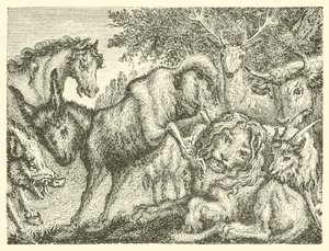 Il vecchio leone (incisione)
