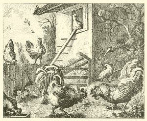 La pernice e i galli
