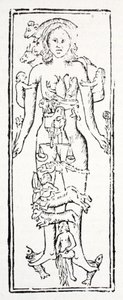 Le parti del corpo che controllano ogni segno zodiacale da English School