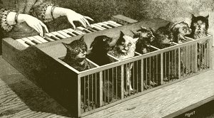 Il pianoforte dei gatti da English School