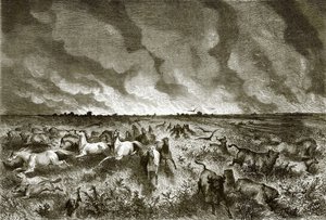 La prateria in fiamme